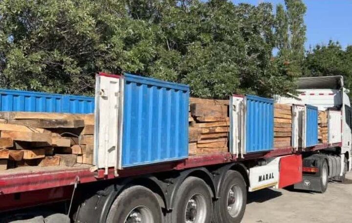 کشف ۲ هزار تن چوب قاچاق در گیلان