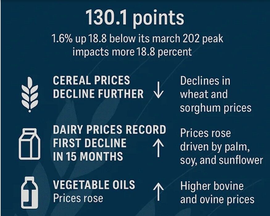 قیمت گوشت به بالاترین حد خود رسید| قیمت لبنیات برای اولین بار در ۱۵ ماه گذشته کاهش یافت
