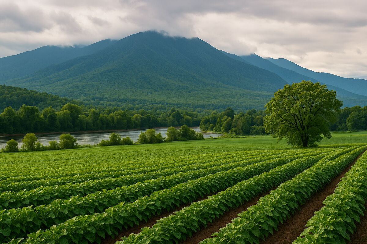 چشمانداز بازار املاک شمال در ۱۴۰۴ | فرصتهایی که هنوز دستنخوردهاند