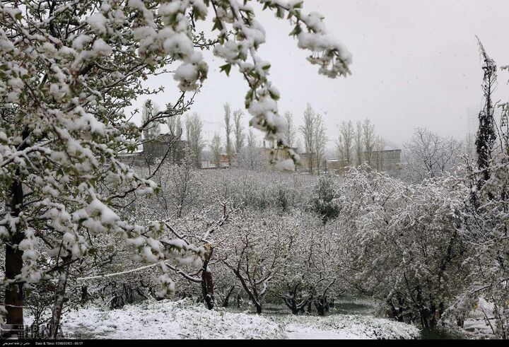 روسیه و اروپا در انتظار زمستانی بسیار سرد هستند که هر ۲۰ سال یک بار اتفاق میافتد
