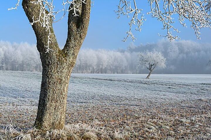 رکورد کمبارشی در کشور؛ ۸ استان با افت ۱۰۰ درصدی بارشها
