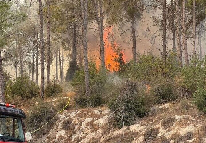 آتش سوزی‌های سریالی در اسرائیل همچنان ادامه دارد
