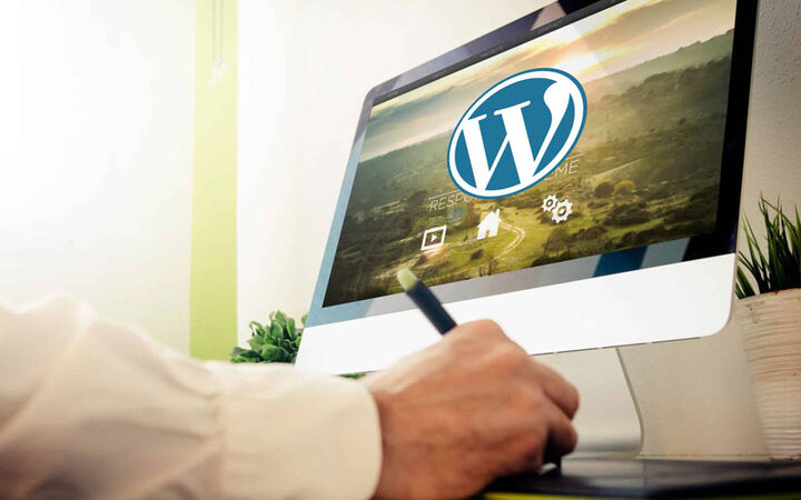 طراحی سایت وردپرسی حرفهای با قیمت منطقی؛ همین حالا شروع کنید طراحی سایت وردپرسی حرفهای با قیمت منطقی؛ همین حالا شروع کنید