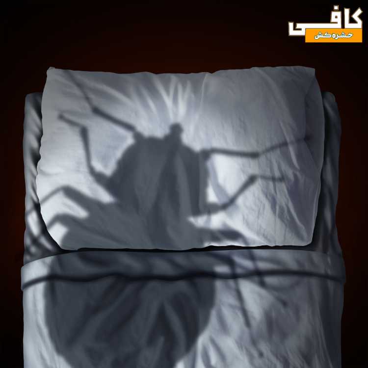 درمان ساس تختخواب