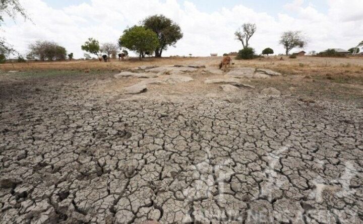 وای نت: بی آبی در اسراییل هزاران هکتار زمین کشاورزی را نابود کرده است وای نت: بی آبی در اسراییل هزاران هکتار زمین کشاورزی را نابود کرده است