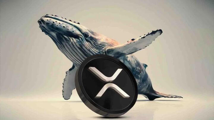 نهنگ‌های XRP در حال خروج از بازار هستند