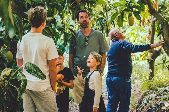 رشد ۷.۷۸ درصدی بازار گردشگری روستایی تا ۲۰۳۰ | اروپا؛ پیشتاز درآمد جهانی گردشگری کشاورزی