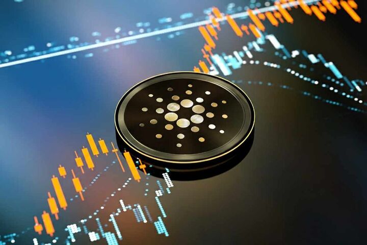 دارندگان کاردانو در دام ضرر ؛ سه ماه سود دود شد! دارندگان کاردانو در دام ضرر ؛ سه ماه سود دود شد!