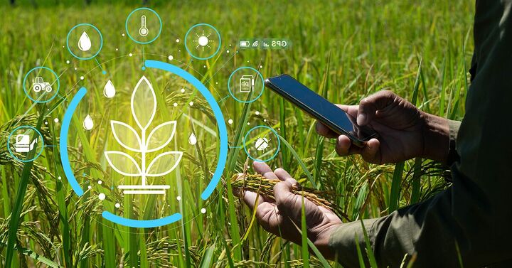 تاکید معاون وزیر جهاد کشاورزی بر همکاری سه رکن اثرگذار در تامین غذایی کشور تاکید معاون وزیر جهاد کشاورزی بر همکاری سه رکن اثرگذار در تامین غذایی کشور