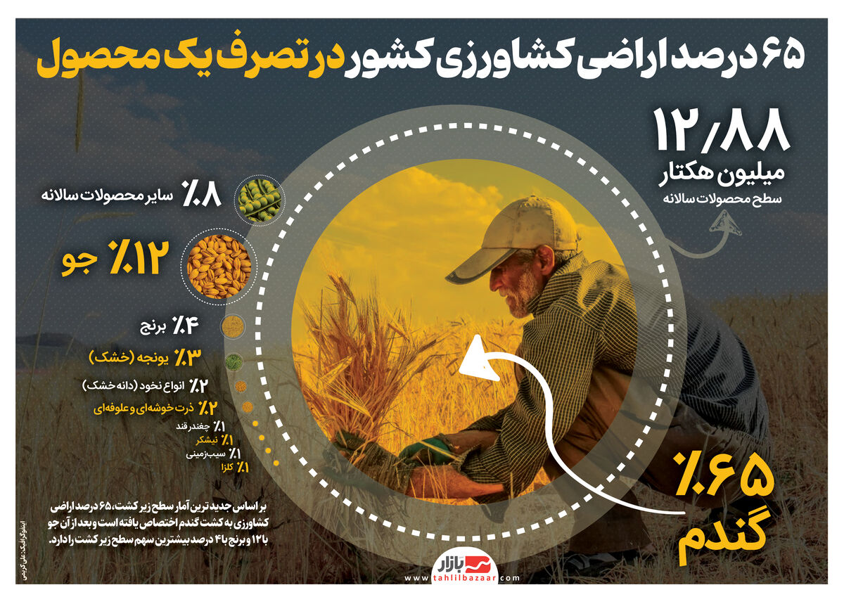 ۶۵ درصد اراضی کشاورزی کشور در تصرف یک محصول