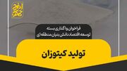 انتشار فراخوان ملی برای توسعه اقتصاد دانش‌بنیان در صنعت میگو