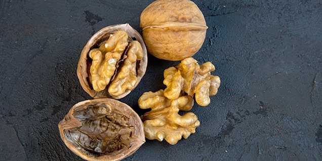 شروع برداشت گردو از باغات؛ بررسی قیمت گردو ۱۴۰۴