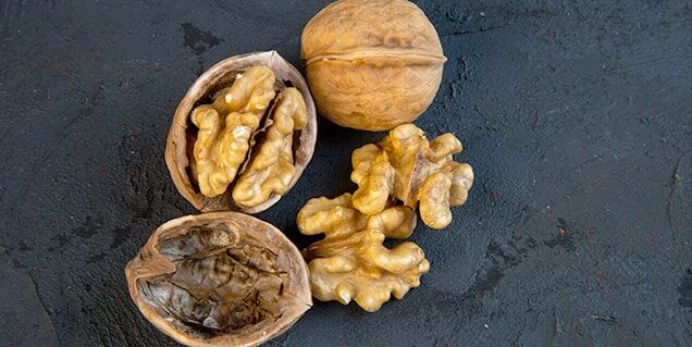 شروع برداشت گردو از باغات؛ بررسی قیمت گردو ۱۴۰۴