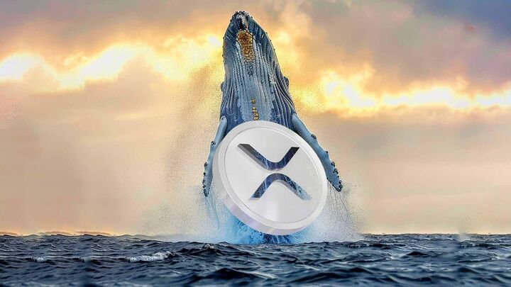 حجم انباشت نهنگهای XRP به بالاترین سطح ۲ ساله رسید حجم انباشت نهنگهای XRP به بالاترین سطح ۲ ساله رسید