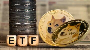 علیرغم تأخیر در راه‌اندازی ETF دوج در ایالات متحده، قیمت دوج‌ کوین افزایش یافت