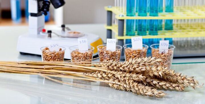 اجرای ۶۸ پروژه تحقیقات در بخش غلات آبی کشور اجرای ۶۸ پروژه تحقیقات در بخش غلات آبی کشور