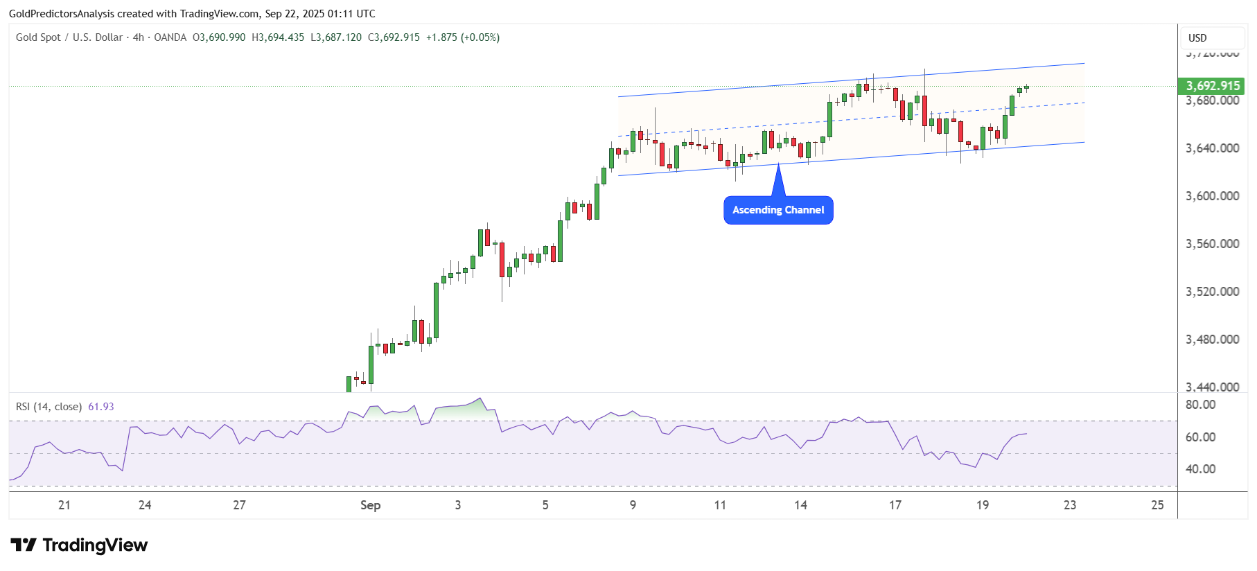 ادامه روند صعودی طلا در بازارهای جهانی| هدف بعدی قیمت چه نقطه ای خواهد بود؟