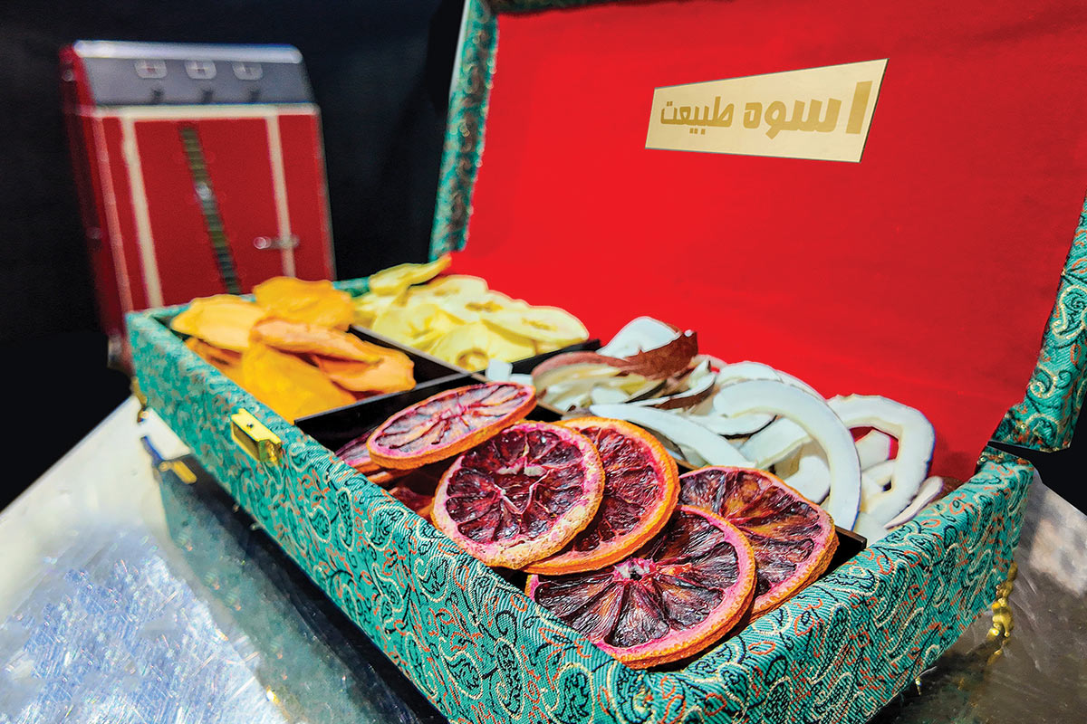 از ایده تا اجرا؛ راهنمای عملی راهاندازی کارخانه تولید میوه خشک با بازگشت سریع سرمایه