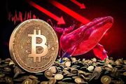 آخرین وضعیت بازار رمزارزها در جهان| نهنگ‌ها به یاری بیت‌کوین آمدند