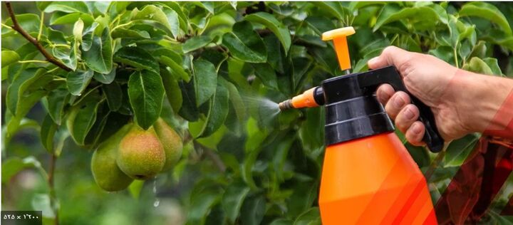 رشد ۱۱ درصدی بازار جهانی آفتکش های زیستی| ایران سریعترین پتانسیل رشد در خاورمیانه را دارد