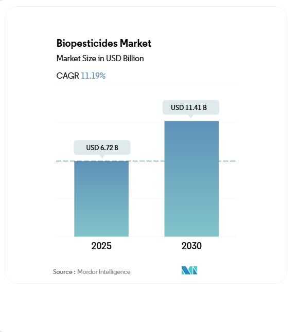 رشد ۱۱ درصدی بازار جهانی آفتکش های زیستی| ایران سریعترین پتانسیل رشد در خاورمیانه را دارد رشد ۱۱ درصدی بازار جهانی آفتکش های زیستی| ایران سریعترین پتانسیل رشد در خاورمیانه را دارد