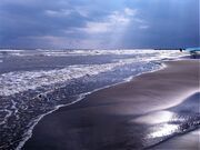 فعالیت‌های دریایی در خزر ممنوع شد