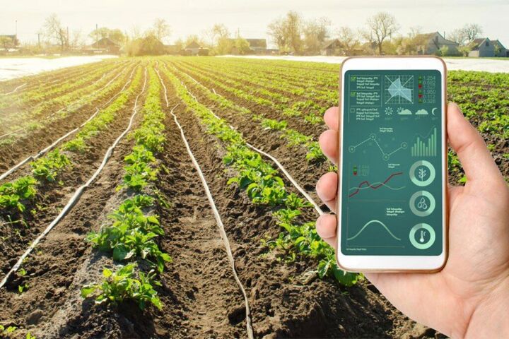 ۹۰۰ هکتار از اراضی خراسان جنوبی زیر پوشش سامانه‌های نوین آبیاری قرار گرفت