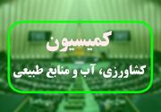 وزیر جهاد برای پاسخگویی درباره گرانی گوشت به کمیسیون کشاورزی می‌آید