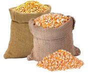 نرخ ذرت و سویا اصلاح شد