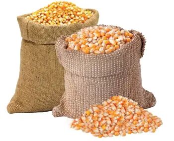 نرخ ذرت و سویا اصلاح شد