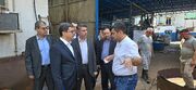 مسعود شیری کارآفرینی با نگاهی علمی به آینده صنعت مواد اولیه