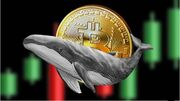 خرید ۶۰ هزار بیت‌ کوین توسط نهنگ‌ها در ۷ روز گذشته