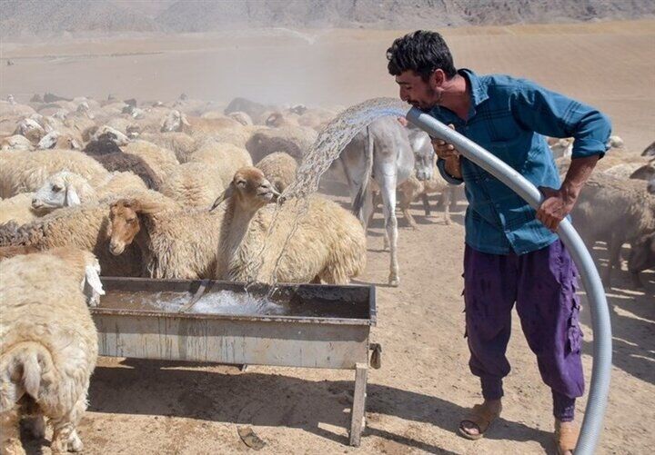 آبرسانی و بهسازی راه‌های عشایری اردبیل پیشرفت چشمگیر دارد