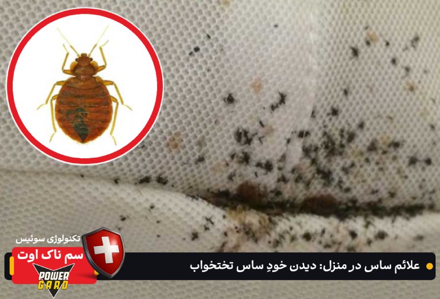 علائم ساس در منزل : دیدن خودِ ساس تختخواب