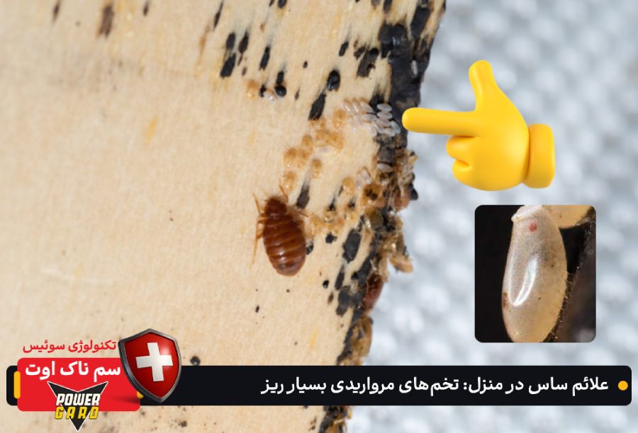 علائم ساس در منزل : تخم‌های مرواریدی بسیار ریز (~۱ میلی‌متر)