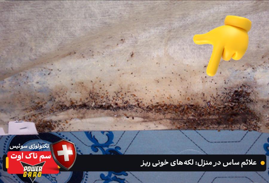 علائم ساس در منزل : لکه‌های خونی ریز