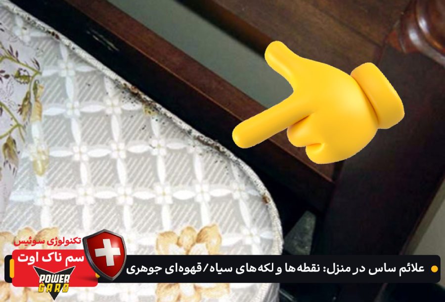 علائم ساس در منزل : نقطهها و لکههای سیاه/قهوهای جوهری