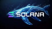 افزایش خرید سولانا توسط نهنگها پس از افت اخیر