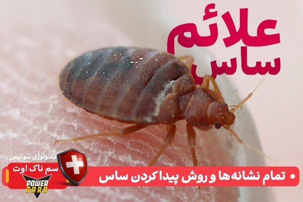 علائم ساس در منزل کدامند؟ تمام نشانه‌ها و روش پیدا کردن ساس