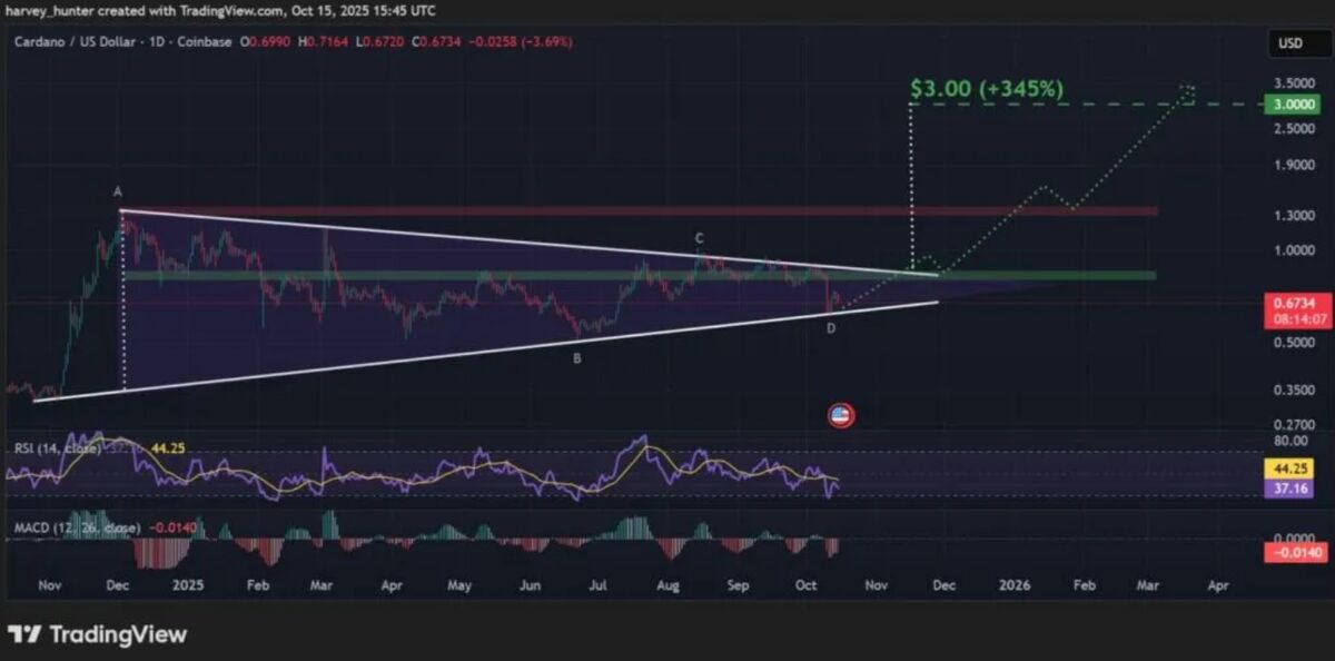 نهنگهای کاردانو در حال خرید در کف قیمت؛ آیا خبرهای خوبی در راه است؟