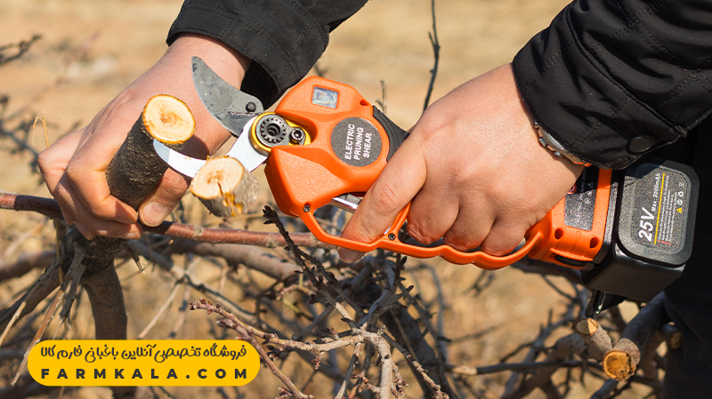 مزایا و معایب قیچی شارژی باغبانی | راهنمای خرید و بررسی تخصصی از فارم کالا