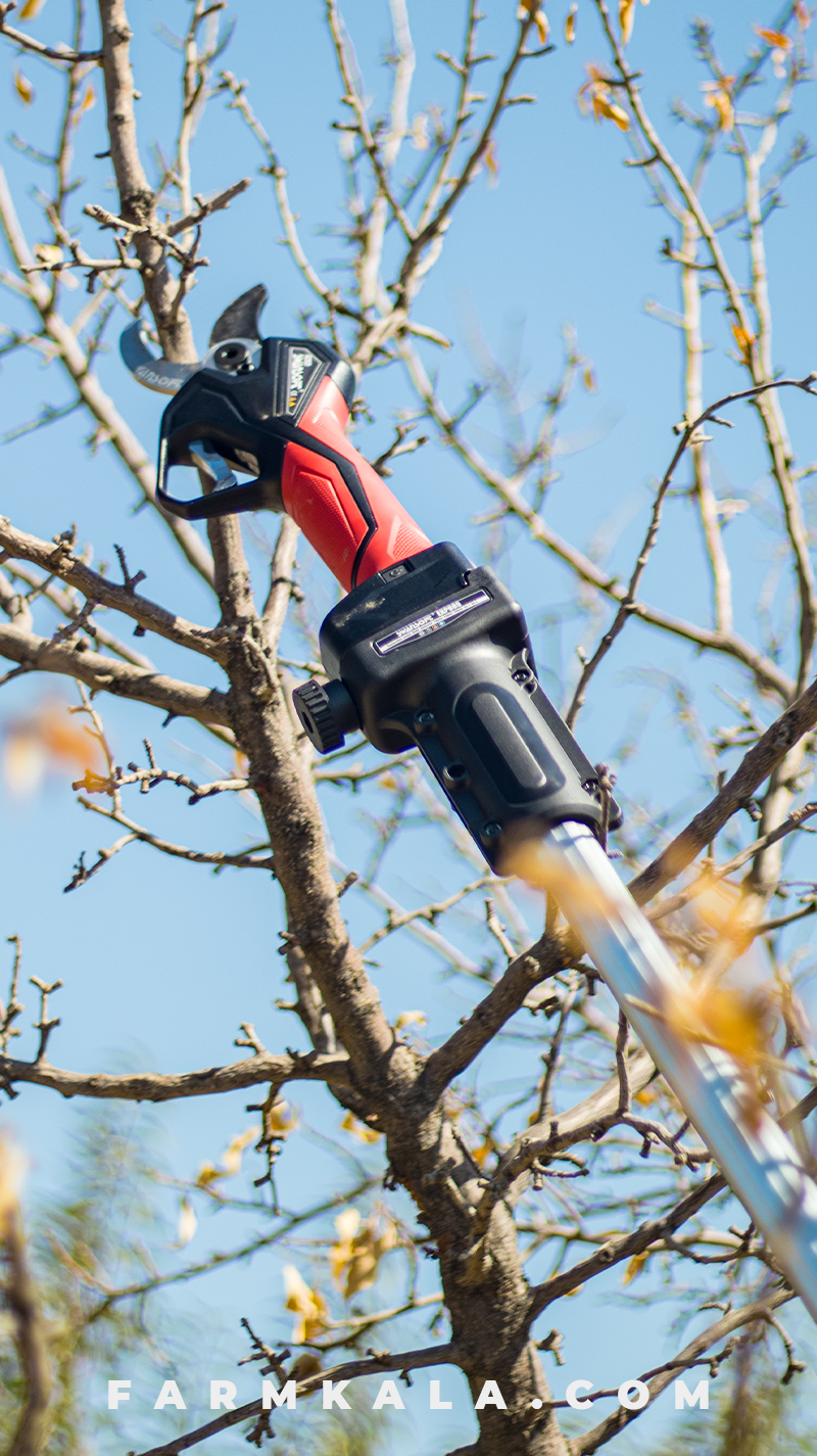 مزایا و معایب قیچی شارژی باغبانی | راهنمای خرید و بررسی تخصصی از فارم کالا