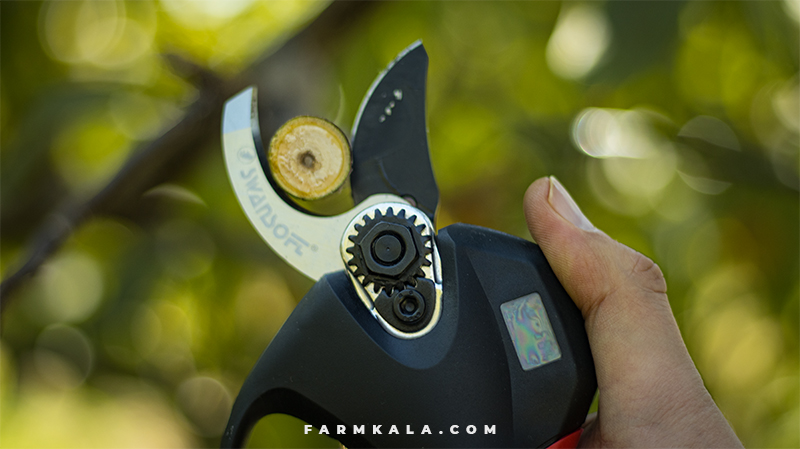 مزایا و معایب قیچی شارژی باغبانی | راهنمای خرید و بررسی تخصصی از فارم کالا