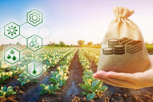 سرمایه‌ای به وسعت خاک روستاهای کرمان؛ ظرفیت‌هایی که باید دیده شوند