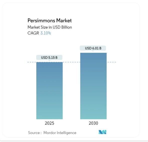 ارزش ۵.۱۵میلیارد دلاری بازار جهانی خرمالو در ۲۰۲۵| آسیا و اقیانوسیه پیشتاز در تولید جهانی ارزش ۵.۱۵میلیارد دلاری بازار جهانی خرمالو در ۲۰۲۵| آسیا و اقیانوسیه پیشتاز در تولید جهانی