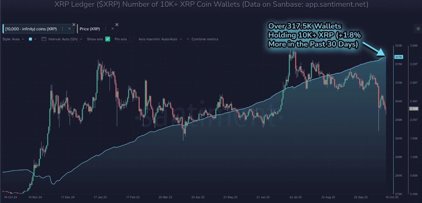 هدف بعدی ریپل ۳ دلار است زیرا تعداد آدرسهای نهنگها به اوج تاریخی جدید رسیده