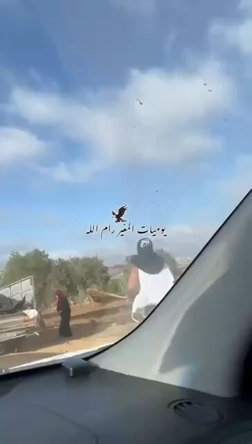 باغ‌های زیتون فلسطین رنگ خون گرفت