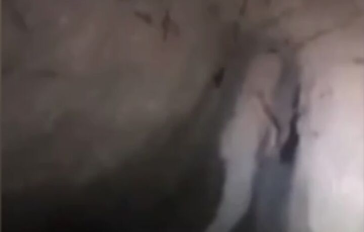 کشف مخفیگاه زیرزمینی اتباع غیرمجاز در رباط‌کریم