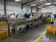 میوهشورهای خانگی و صنعتی چه فرقی با هم دارند؟