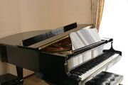 خرید پیانو آکوستیک قسطی [با شرایط خرید منعطف، مالک رویای دیرینه خود شوید]